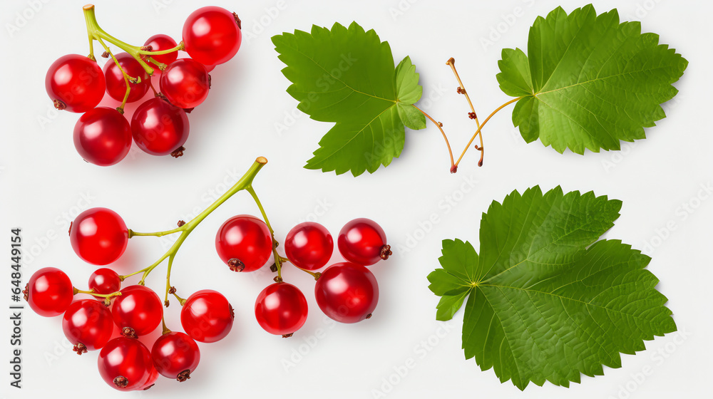 Einzelne Johannisbeere und Blätter isoliert with generative KI Einzelne Johannisbeere und Blätter isoliert with generative KI