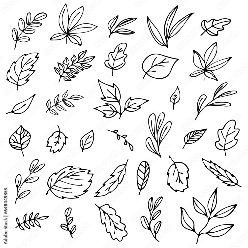 set of leaves in doodle style