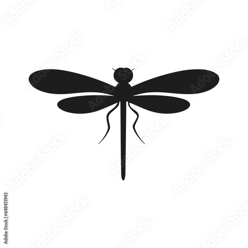 Flying Dragonfly Illustration