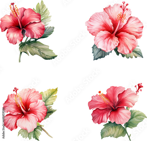 Set of hand drawn red blossom hibiscus flowers, Watercolor tropical hibiscus flower
