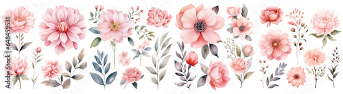Watercolor blush floral clipart , Watercolor collection of hand drawn flowers , Botanical plant ,cut out transparent isolated on white background ,PNG file ,artwork graphic design illustration.