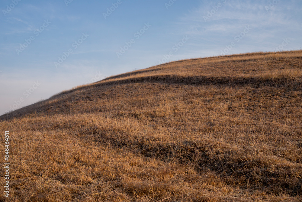 brown grass on the hill at autumn