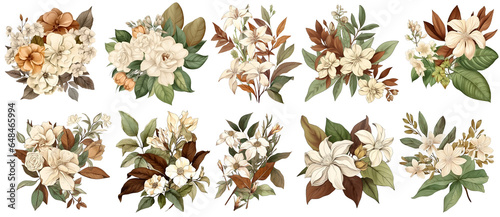 vintage grass and flowers isolated boho style, generated ai