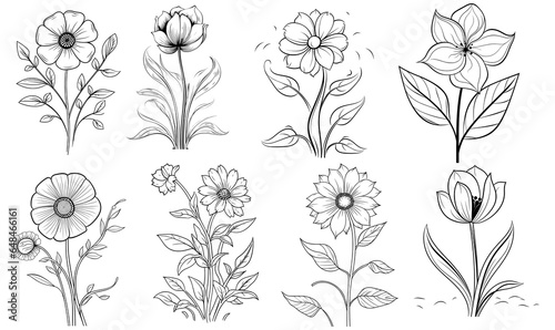 set of black outline flowers for coloring book, PNG, generated ai