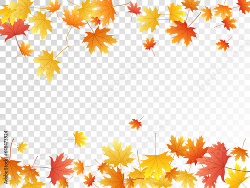 Maple leaves vector illustration, autumn foliage on transparent background.