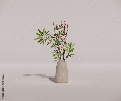 plant in a vase