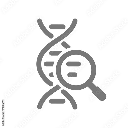 DNA sequence with magnifying glass vector icon. Genetic research, engineering and bioengineering symbol.