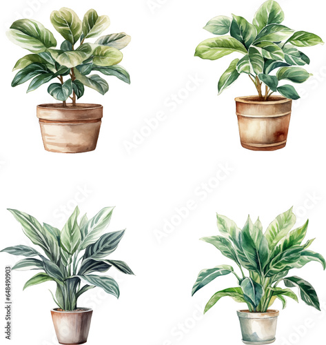 set of watercolor illustrations of house plants in pots