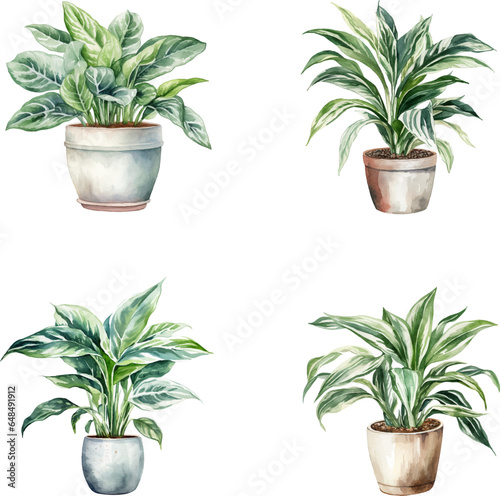 set of watercolor illustrations of house plants in pots