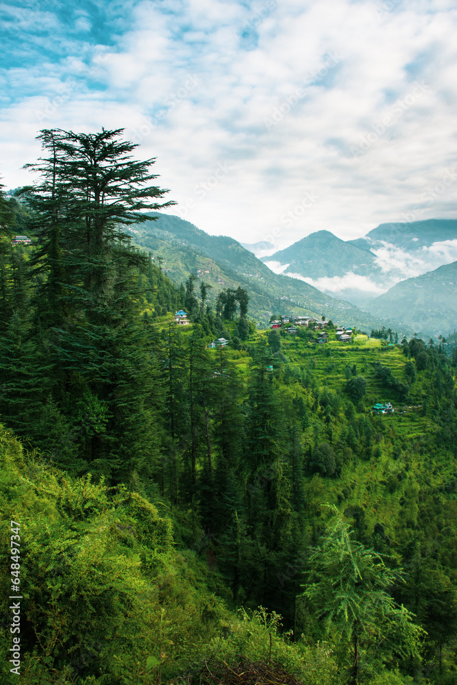 Fototapeta premium A mountain valley, Jibhi, Tirthan Valley, Himachal Pradesh, India.