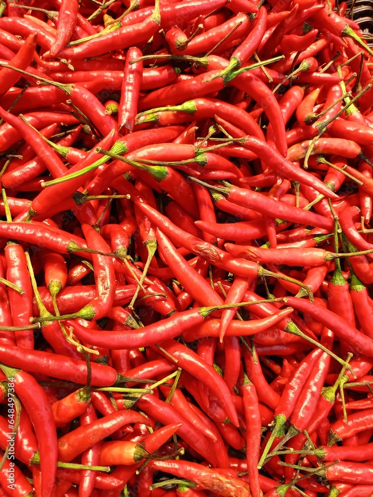 Agricultural produce, fresh pepper from the farm Agricultural produce, fresh pepper from the farm