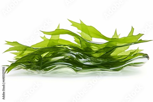 A transparent, isolated seaweed png used for food, iodine, medicine, and cosmetics. Generative AI
