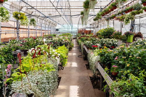 Panoramic view of flower nursery with green potted plants and home flowers. Gardening business concept. 