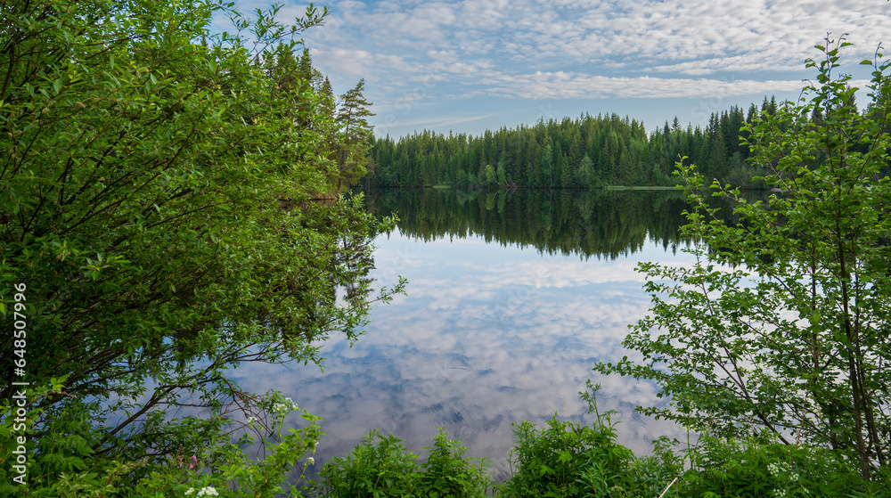 Fototapeta premium Beautiful view of the lake surrounded by coniferous forest