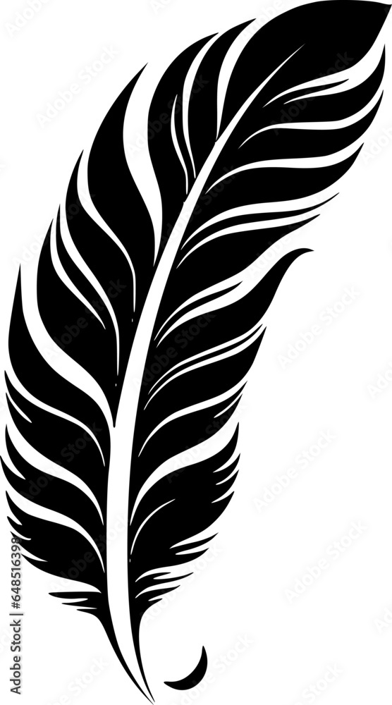 Feather | Black and White Vector illustration Feather | Black and White Vector illustration