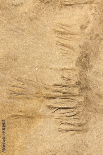 sand background