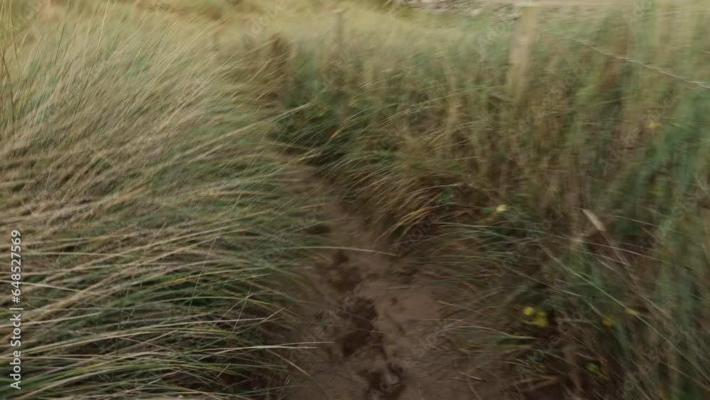Walking along the sandy path through the coastal grass and a view of the beach during a light storm Walking along the sandy path through the coastal grass and a view of the beach during a light storm