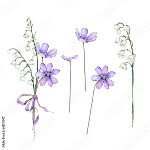 Set of watercolor spring flowers. Coppice, hepatica - first spring flowers. Spring lily of the valley Illustration of delicate lilac flowers. Hand drawn texture with white and violet flowers. Clipart © Ekatmart