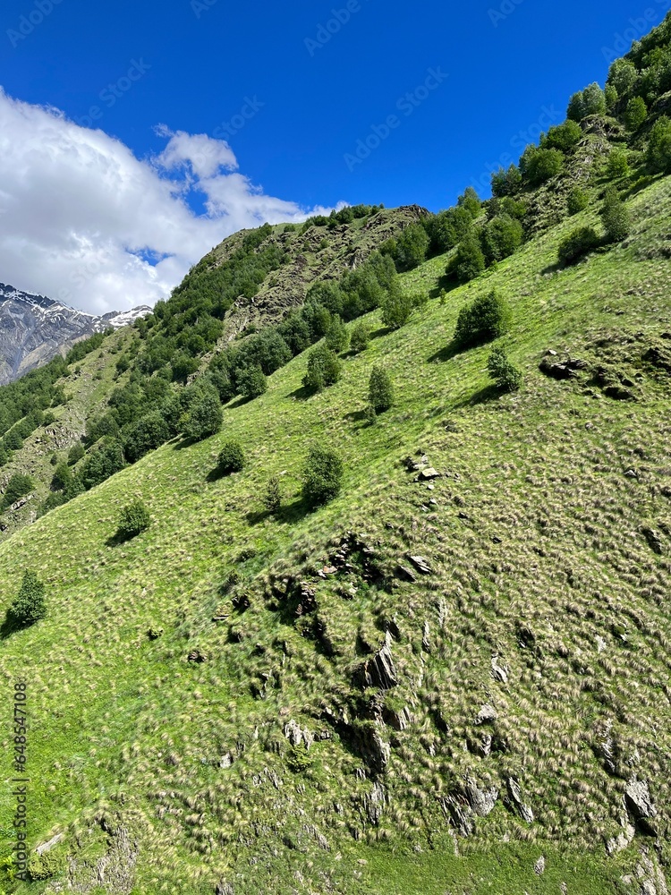 green mountain landscape wallpaper photo