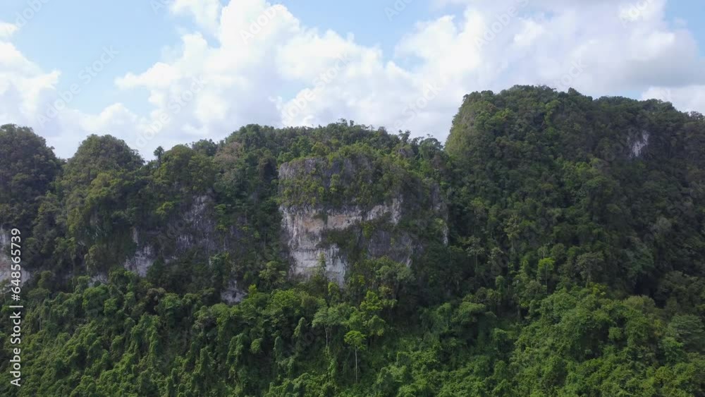 Aerial view of the rocky mountains in South Kalimantan which are filled with plants and surrounded by oil palm plantations Aerial view of the rocky mountains in South Kalimantan which are filled with plants and surrounded by oil palm plantations