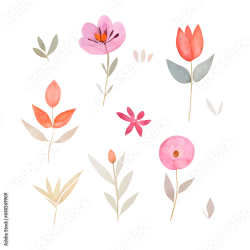 Set watercolor elements of pink flowers. Vector, Isolated on white background.