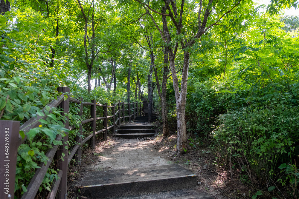 Wooden path on Eungbongsan mountain in Seoul, South Korea