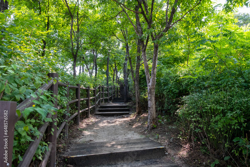 Wooden path on Eungbongsan mountain in Seoul  South Korea