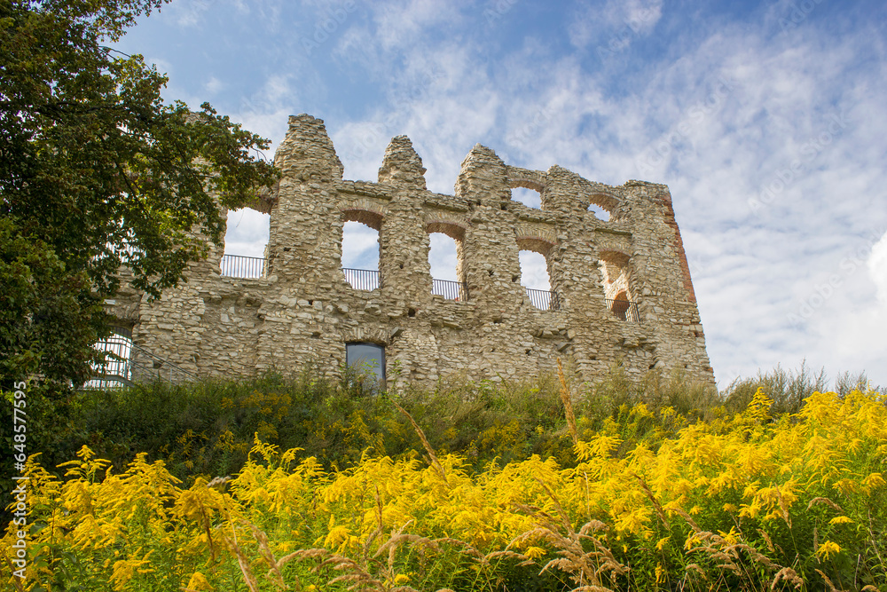 Ruins of medieval castle in Rapsztyn -  Eagle's Nest Trail in Rapsztyn, Poland