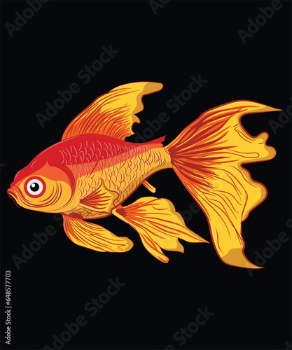 gold fish isolated on black