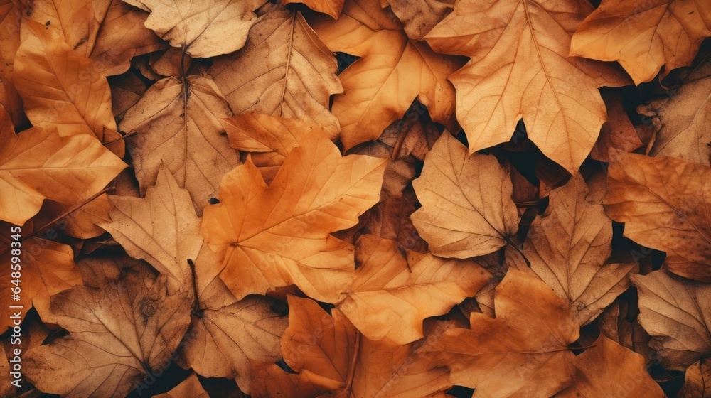 Crispy autumn leaf texture background, showcasing delicate, organic textures and a warm, seasonal color palette. A wonderful choice for fall-themed creative projects Crispy autumn leaf texture background, showcasing delicate, organic textures and a warm, seasonal color palette. A wonderful choice for fall-themed creative projects