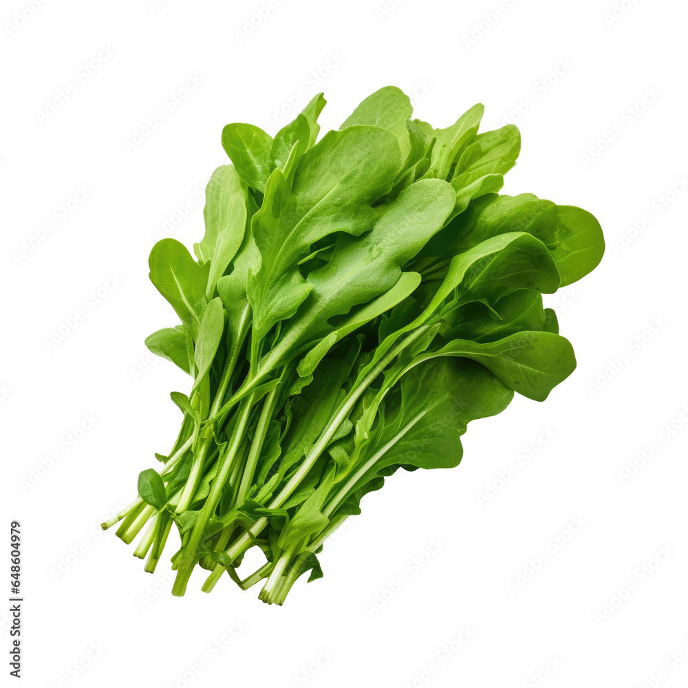 Arugula isolated in transparent background. Close up of a arugula on a white background. Perfect for food designs, health and wellness content, recipe books, and vegetarian/vegan marketing materials Arugula isolated in transparent background. Close up of a arugula on a white background. Perfect for food designs, health and wellness content, recipe books, and vegetarian/vegan marketing materials