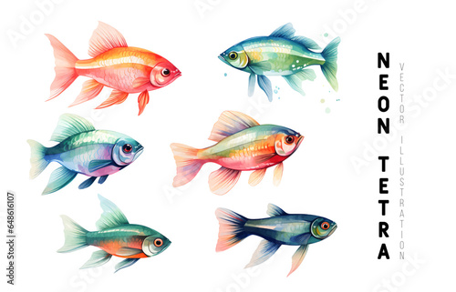 Aquatic animal, isolated neon tetra fish. Sealife and variety of biodiversity. Fauna of underwater, tropical and exotic water dweller. Vector in watercolor style