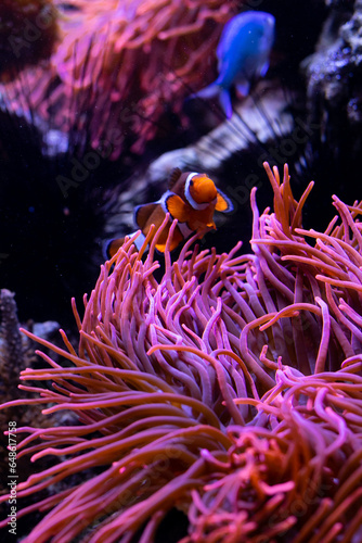 Underwater 