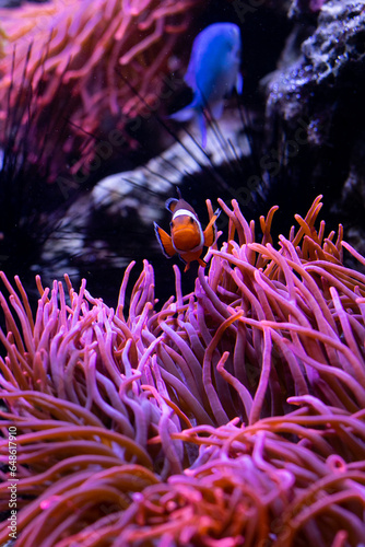 Underwater 