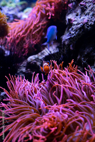 Underwater 
