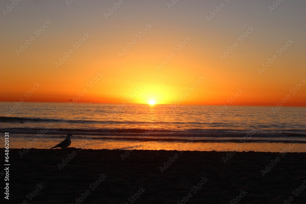 Amazing sunset at Santa Barbara, California. Empty beach with clear skies, calm waves and orange horizon. Seagull shadows in the frame.  