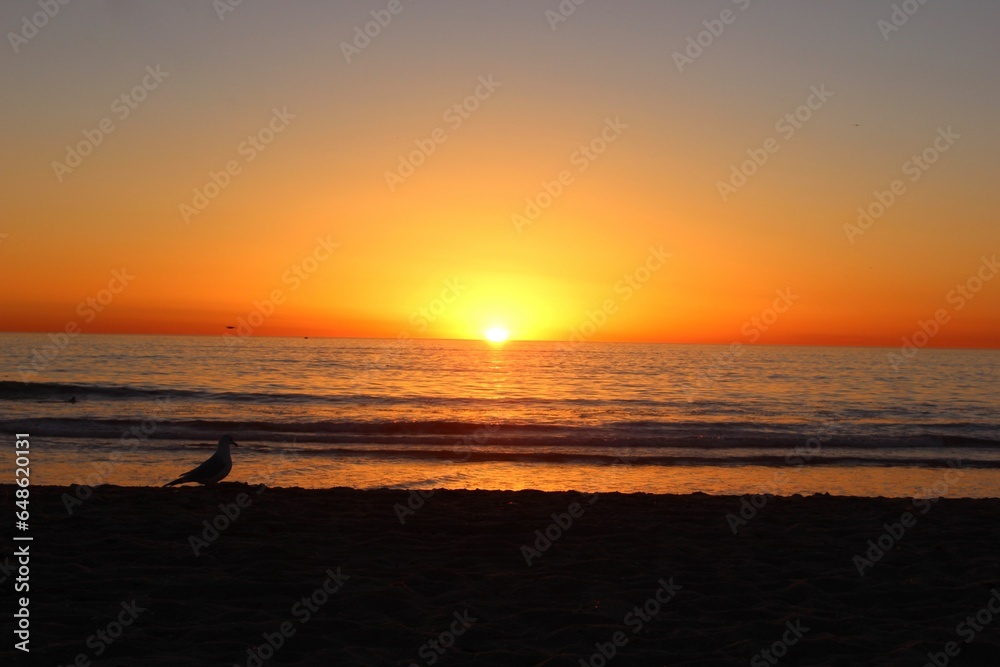 Amazing sunset at Santa Barbara, California. Empty beach with clear skies, calm waves and orange horizon. Seagull shadows in the frame. Amazing sunset at Santa Barbara, California. Empty beach with clear skies, calm waves and orange horizon. Seagull shadows in the frame.