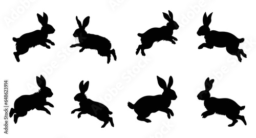 Fototapeta Naklejka Na Ścianę i Meble -  Rabbits silhouette set. Bunny symbols. Hare silhouette. Farm animal icon