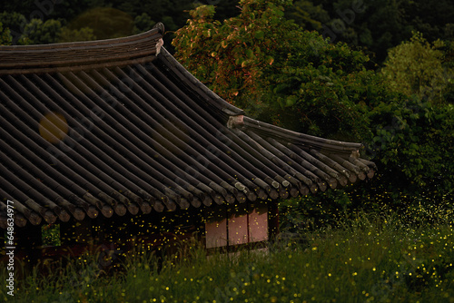 Fireflies and Oriental Architecture