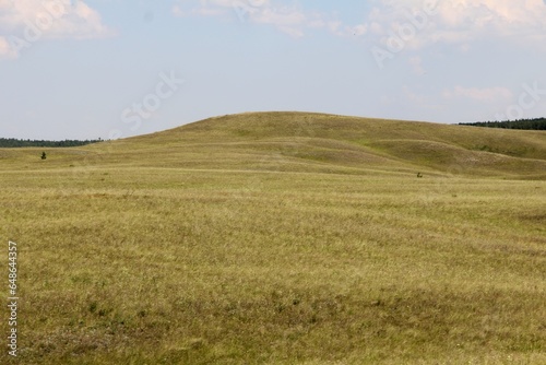 Not a high hill covered with grass