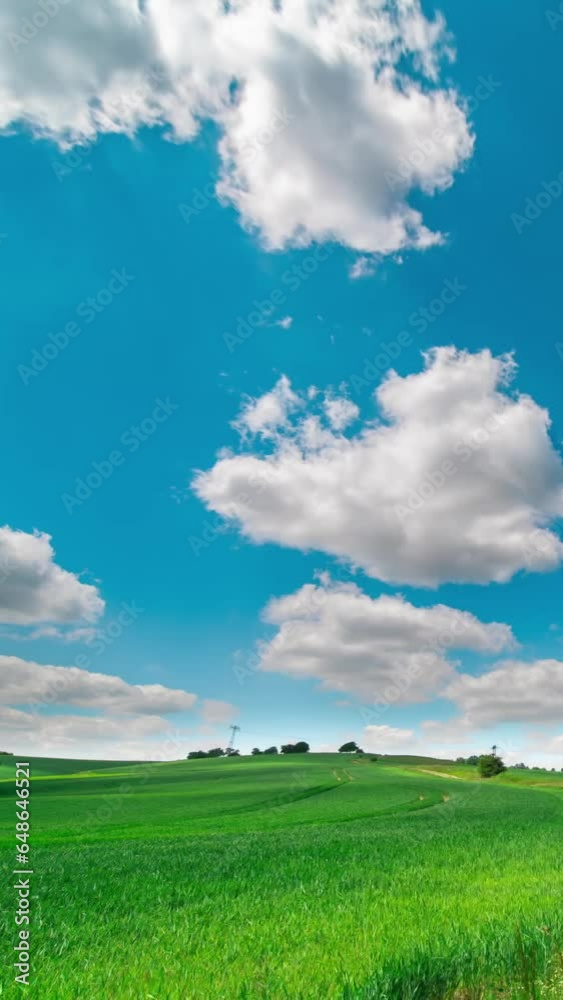 timelapse with white clouds on a blue sky landscape of a green summer field timelapse with white clouds on a blue sky landscape of a green summer field