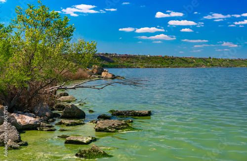 Eutrophication of the Khadzhibey estuary, blooms in the water of the blue-green algae Microcystis aeruginosa photo