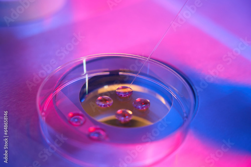 Fotografie Small straws for preservation of embryos or eggs in modern laboratory