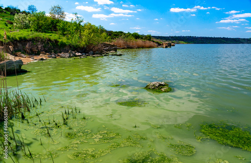 Eutrophication of the Khadzhibey estuary, blooms in the water of the blue-green algae Microcystis aeruginosa