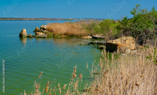 Eutrophication of the Khadzhibey estuary, blooms in the water of the blue-green algae Microcystis aeruginosa