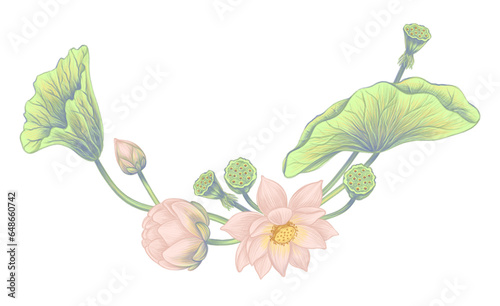 Lotus flowers and leaves Botanical gentle hand drawn  Pink flower buds Floral  border