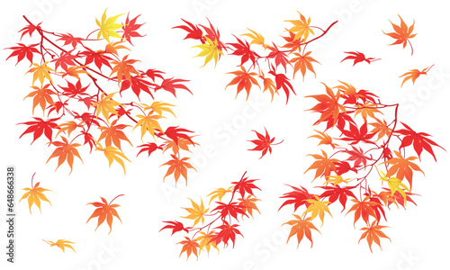 Autumn branch on a white background. The time of leaf fall. The red leaves of the Japanese maple fall down, fluttering in the wind. Vector illustration.