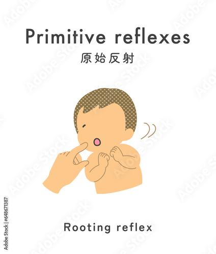 Illustration material: Primitive reflex_baby_rooting reflex