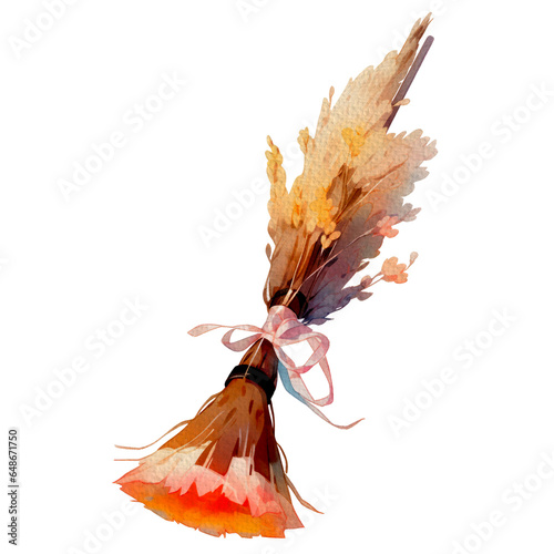 Watercolor Wizard Broom