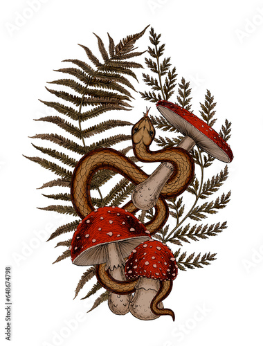 Magic golden snake and mushrooms in forest fern leaf Botanical vintage gothic illustration hand drawn tattoo design